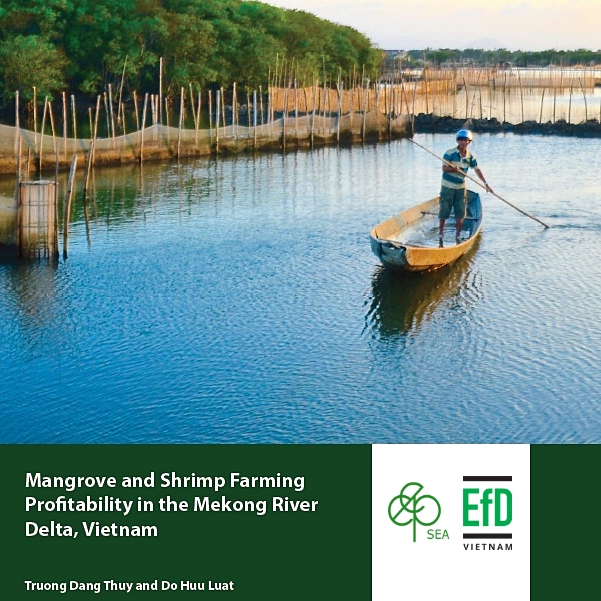 Việt Nam kêu gọi thực thi chính sách bảo tồn rừng ngập mặn