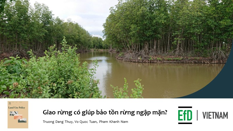 Hiệu quả chính sách chuyển giao quản lý rừng ngập mặn ở Đồng Bằng sông Cửu Long